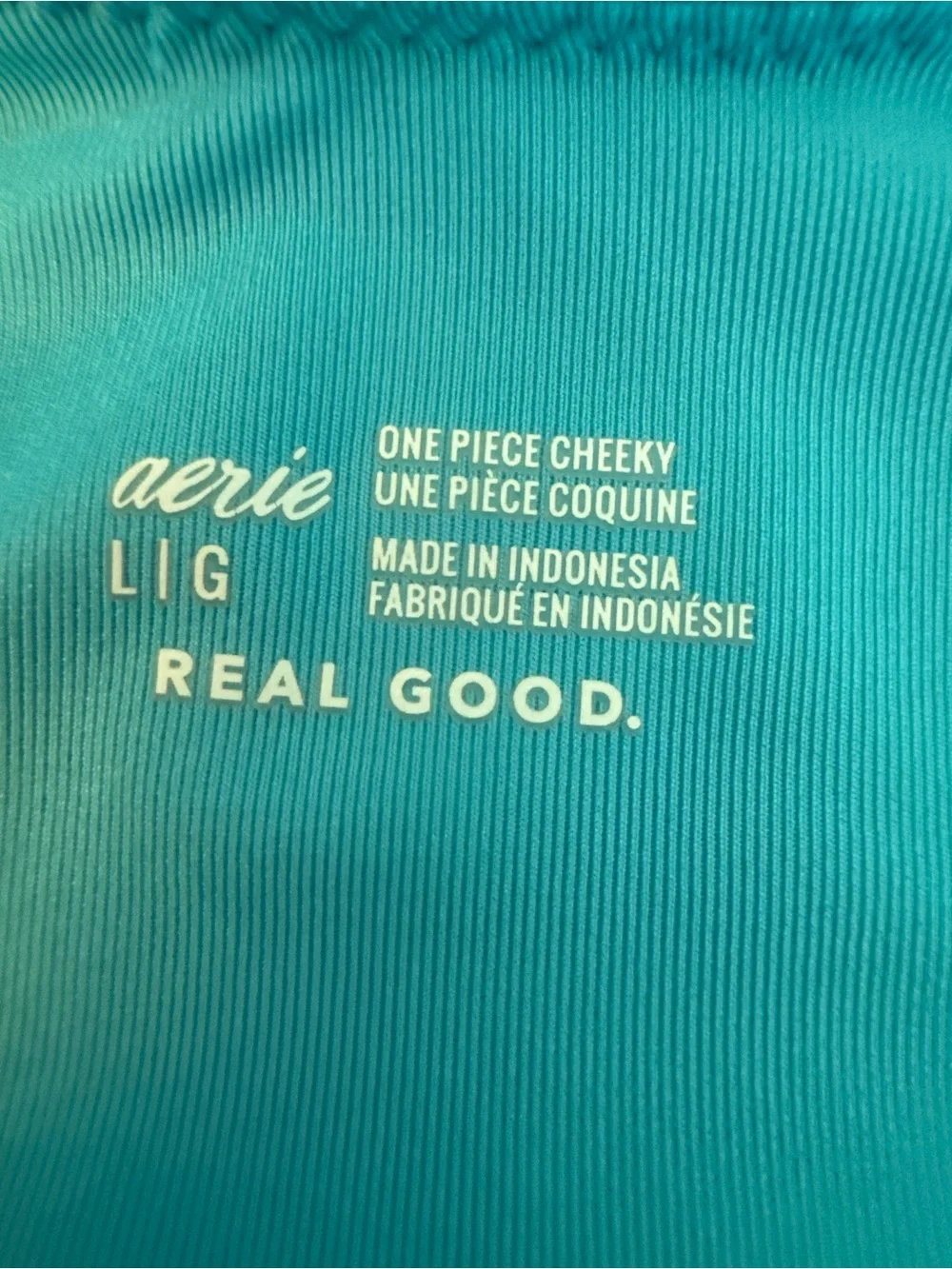 Aerie Blue Shine Rib Cheeky One Piece Swimsuit